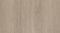 H3146 ST19